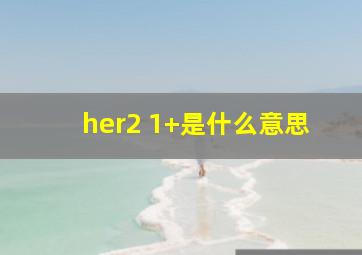 her2 1+是什么意思